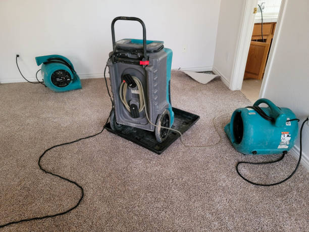 Best Fire Damage Restoration  in Smyrna, DE