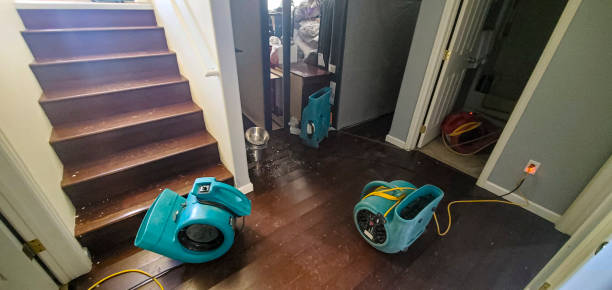Best Flood damage cleanup  in Smyrna, DE