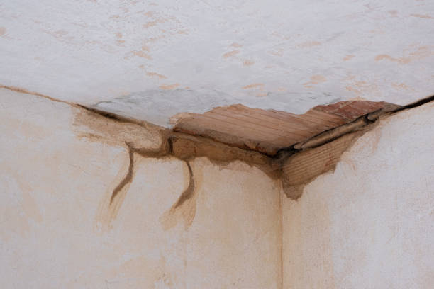 Best Sewage cleanup and water damage restoration  in Smyrna, DE