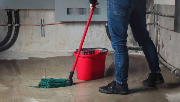 Best Flood restoration services  in Smyrna, DE