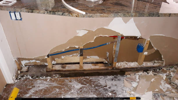 Best Local water damage restoration  in Smyrna, DE