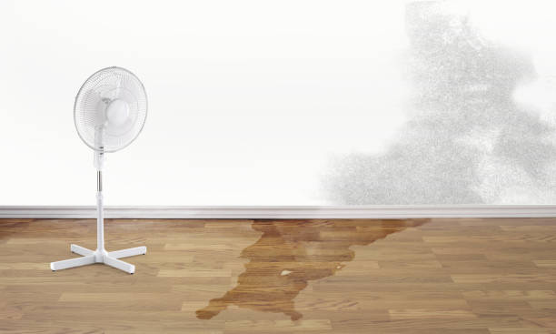 Best 24/7 water damage repair  in Smyrna, DE