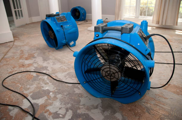 Best Ceiling water damage repair  in Smyrna, DE