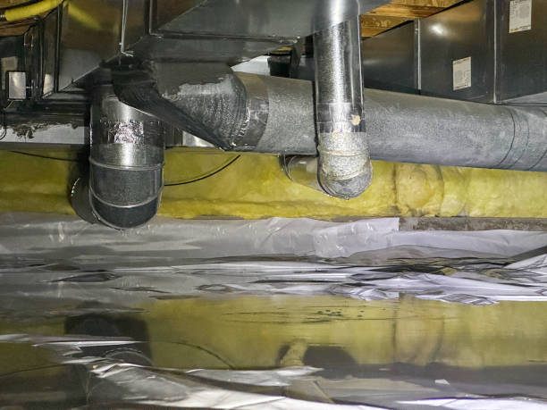 Best Professional water damage repair  in Smyrna, DE
