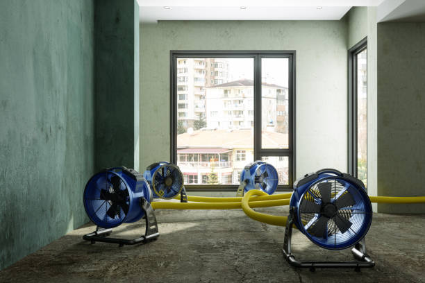 Best Carpet water damage restoration  in Smyrna, DE